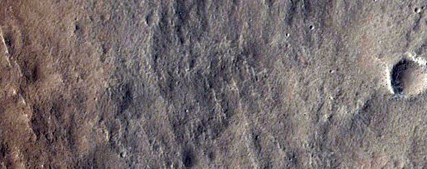 Ridges in Utopia Planitia