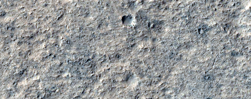 Rim of Lederberg Crater