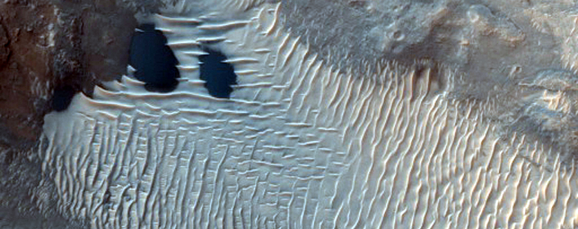 Dunes and Well-Exposed Bedrock