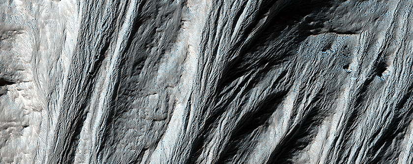 Giant Gullies North of the Argyre Impact Basin