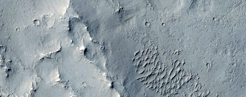 Discontinuous and Branched Ridges in Arago Crater