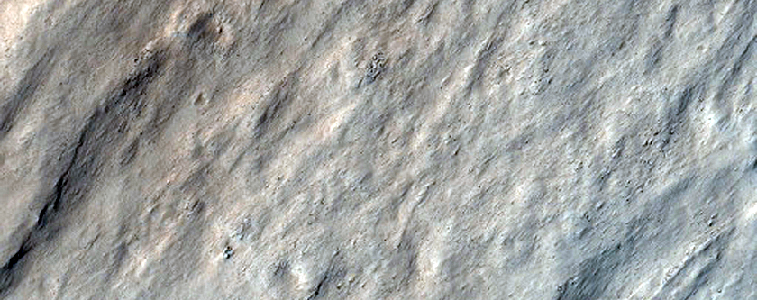 Possible Ice on the Northern Scarp of Olympus Mons