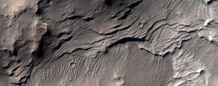 Light-Toned Layers Exposed in Terra Sirenum Crater Ejecta