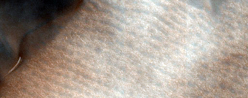 Dust-Raising Event and Streak Monitoring in North Polar Dune Field