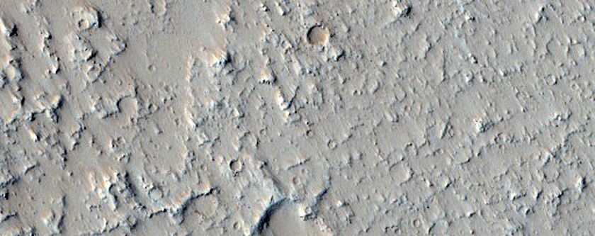 Flows in Tharsis Region