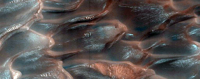 Dunes Dubbed Buzzel