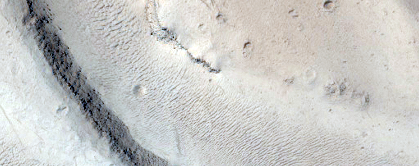 Trough with Channels in Elysium Fossae