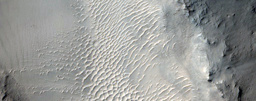 Well Preserved 8-Kilometer Diameter Impact Crater