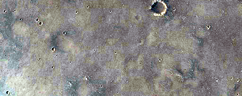 Trough in Elysium Region
