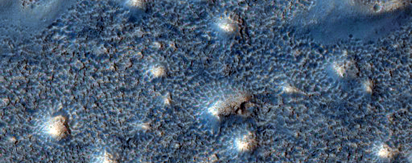 Southern Acidalia Planitia Domes