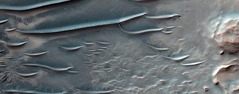 Bedrock Exposures in Trinidad Crater