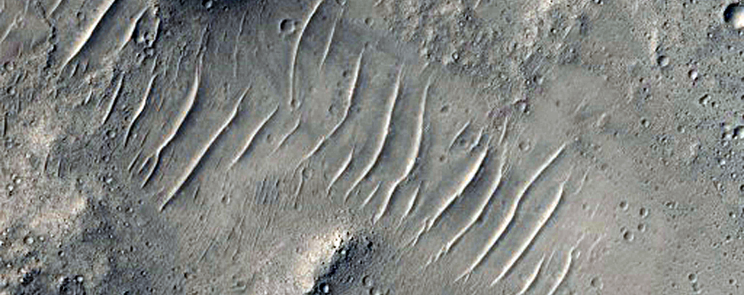 Well-Preserved 10-Kilometer Impact Crater in Southern Elysium Planitia