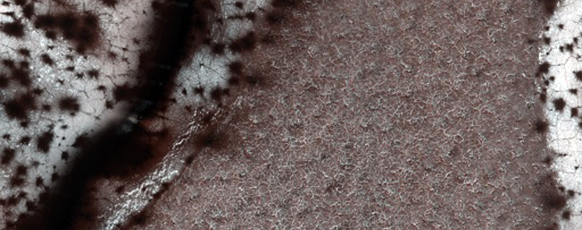 Dunes on Cement Substrate Dubbed Arrakis