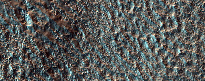 Hellas Planitia