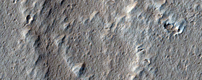 Lobes of a Lava Flow North of Ascraeus Mons