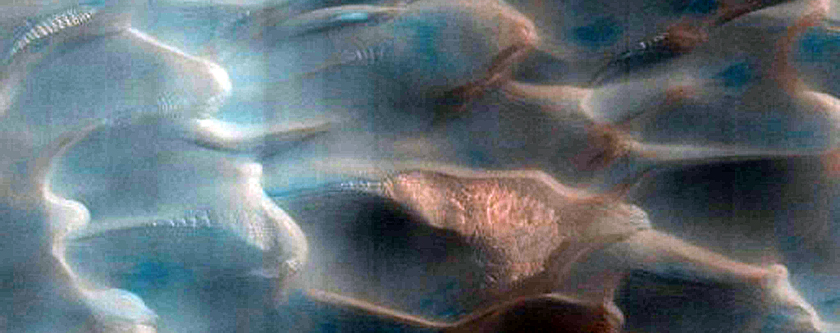Dunes Dubbed Buzzel