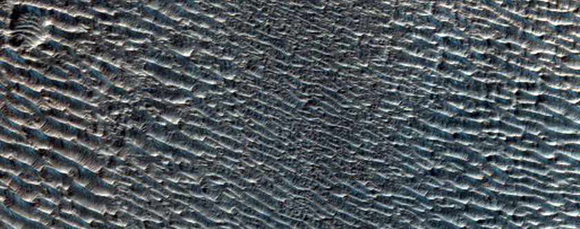 Textured Materials in Western Hellas Planitia