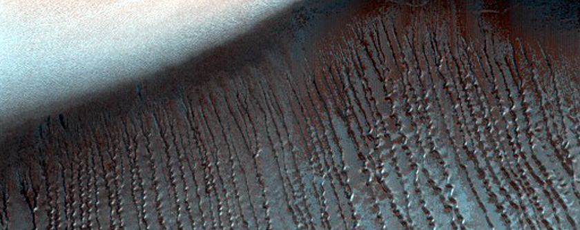 Dunes with Linear Gullies in Hellas Planitia