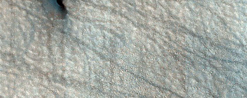Northern Plains