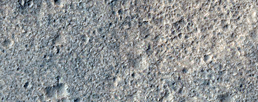 Candidate Landing Site for 2020 Mission