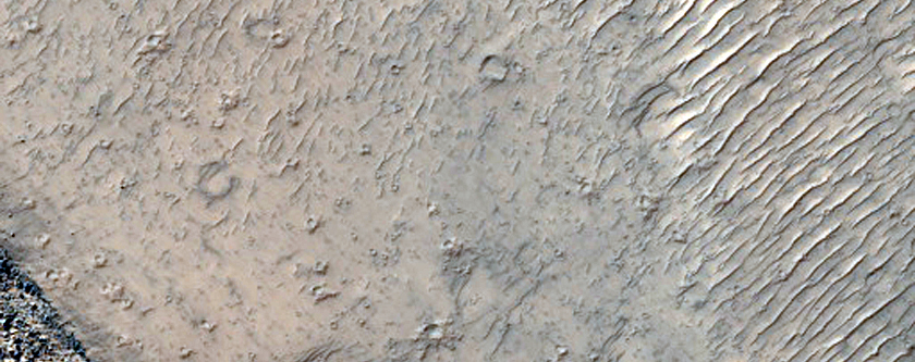 Fractures on Floor of Bernard Crater
