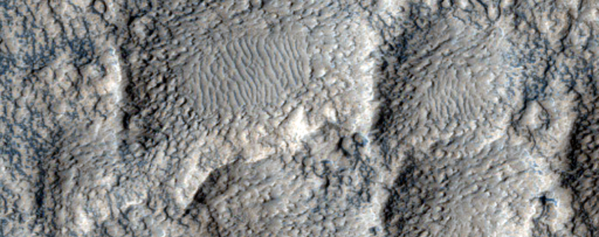 Landscape in Amazonis Planitia