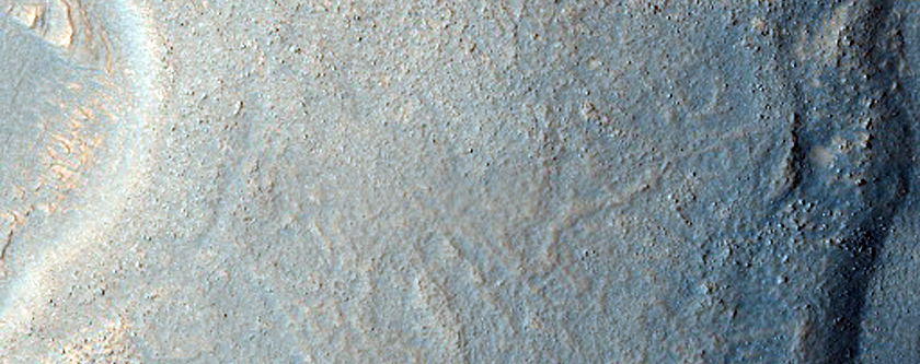 Mounds with Aprons in Arcadia Planitia