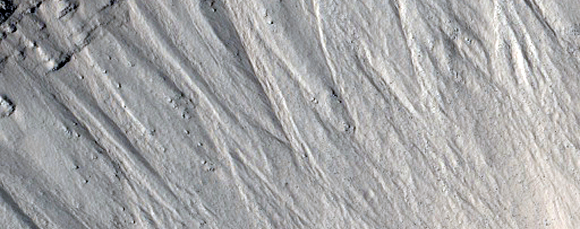 Gullies and Layers in Tantalus Fossae