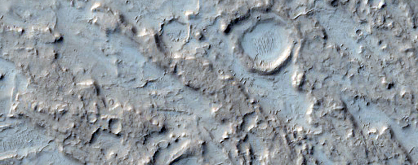Plethora of Intersecting Mesa-Forming Ridges