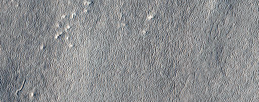 Arcadia Planitia Sample
