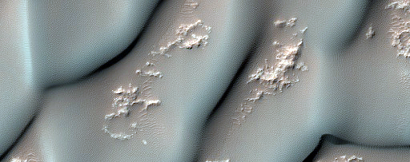 Tyrrhena Terra Crater Dune Changes