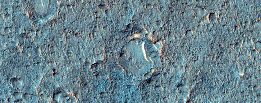 Candidate Landing Site for 2020 Mission in Nili Patera