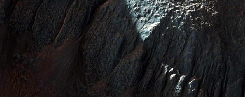 Gully Monitoring