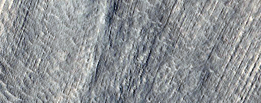 Possible Gullies in Northern Mid-Latitude Crater