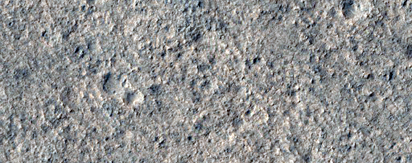 Candidate Landing Site for 2020 Mission