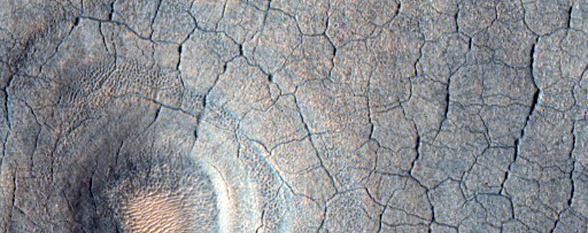 Cratres modifis dans Utopia Planitia