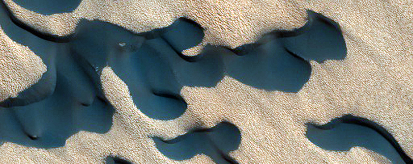 Dunes Dubbed Kolhar