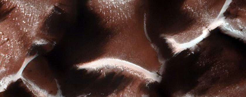 Dunes Dubbed Zanover