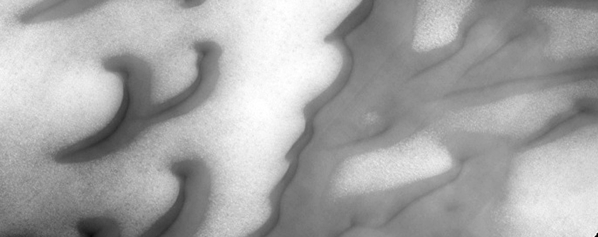 Dunes on Cement Substrate Dubbed Arrakis