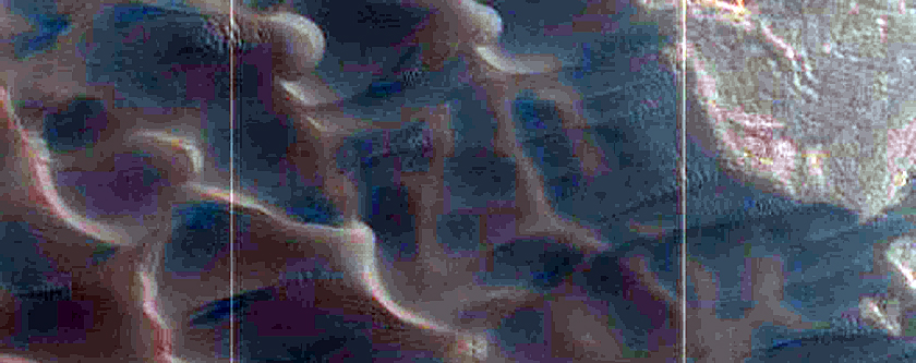 Dunes Dubbed Buzzel