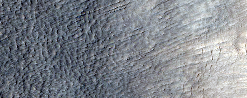 Possible Gullies in Northern Mid-Latitude Crater in Phlegra Montes