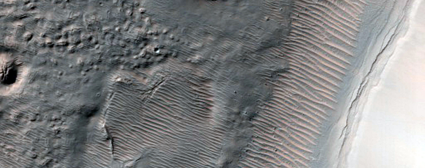 Gully Monitoring
