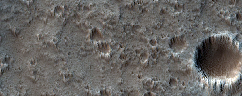 Possible Lava Tube on Ascraeus Mons