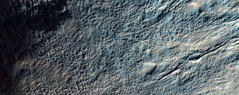 Gully Frost Monitoring