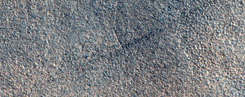 Northern Plains Sample