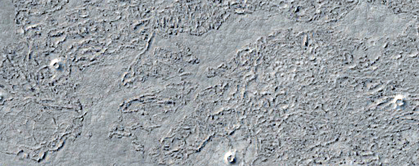 Cratered Cones in Western Elysium Planitia