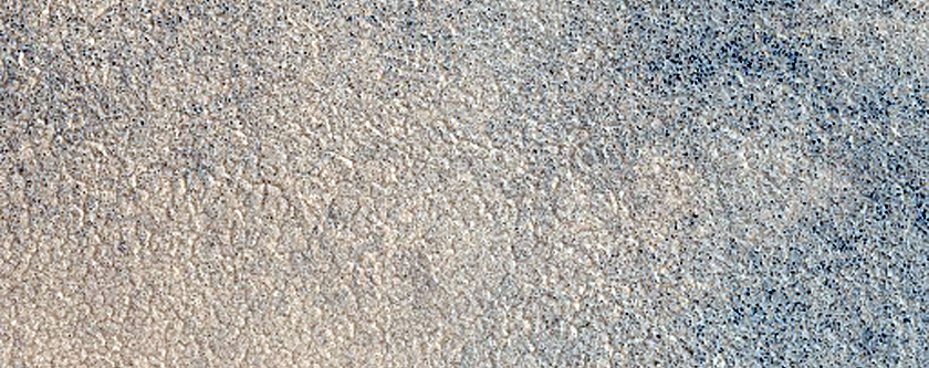 Northern Plains Sample