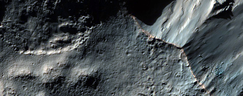Equator Facing Gullies on Crater in Noachis Terra