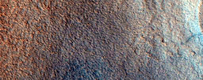 Vivero Crater Interior