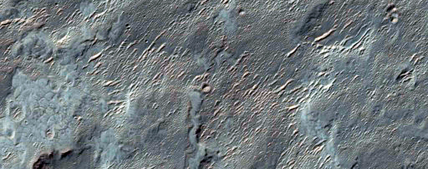 Possible Future Landing Site in Holden Crater